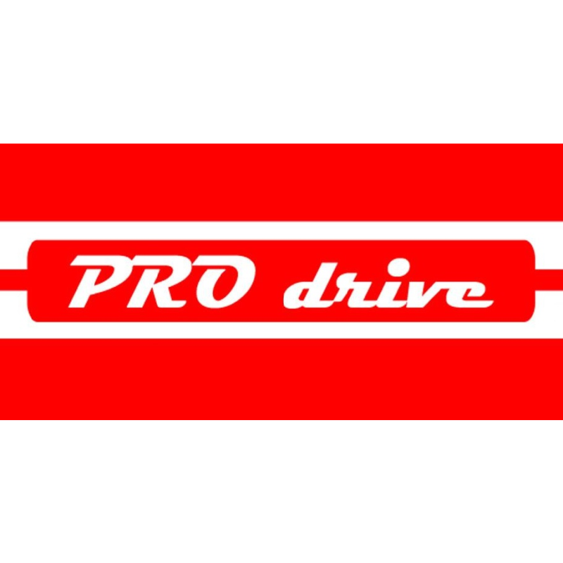 Logo: Fahrschule PRO drive