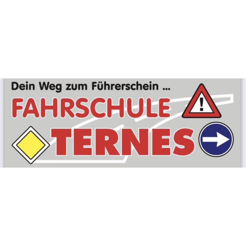 Logo: Fahrschule Ternes