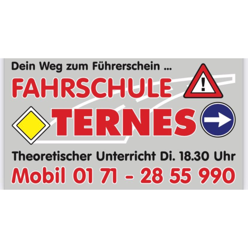 Logo: Fahrschule Ternes