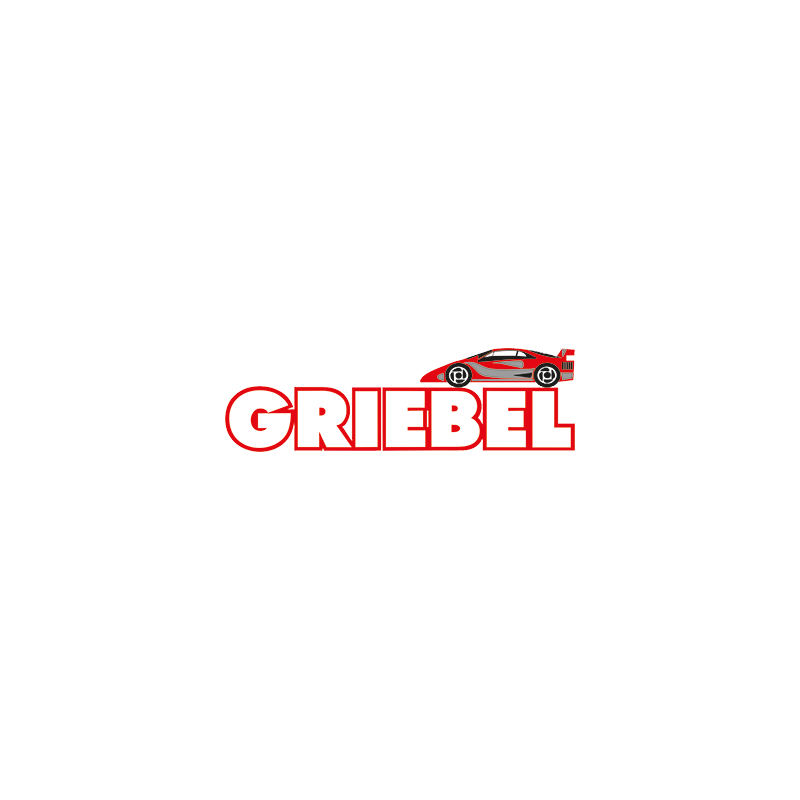 Logo: Fahrschule Griebel