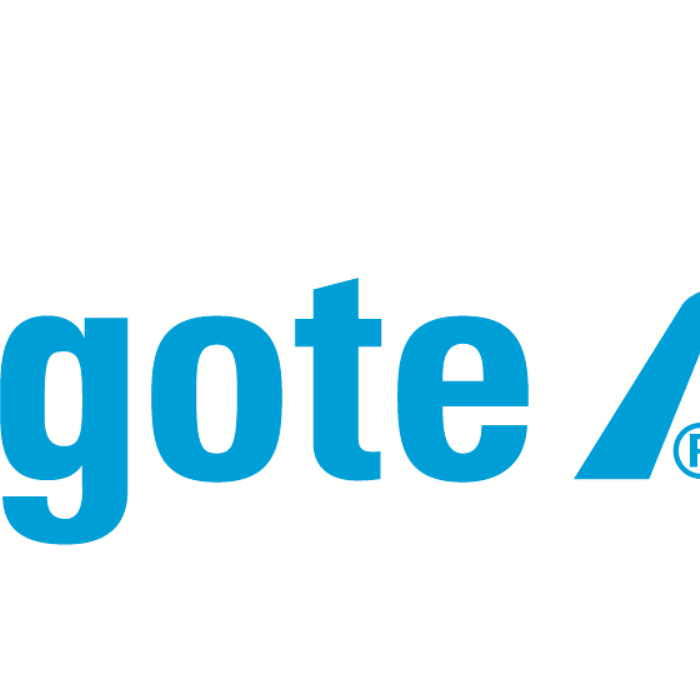 Logo: Fahrschule Gote GmbH