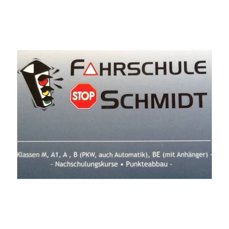 Logo: Fahrschule Schmidt