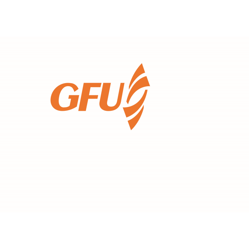 Logo: GFU Fahrlehrerausbildungsstätte und Fahrschulen GmbH