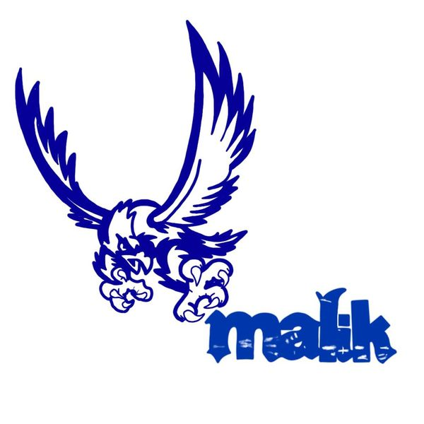 Logo: Fahrschule Malik