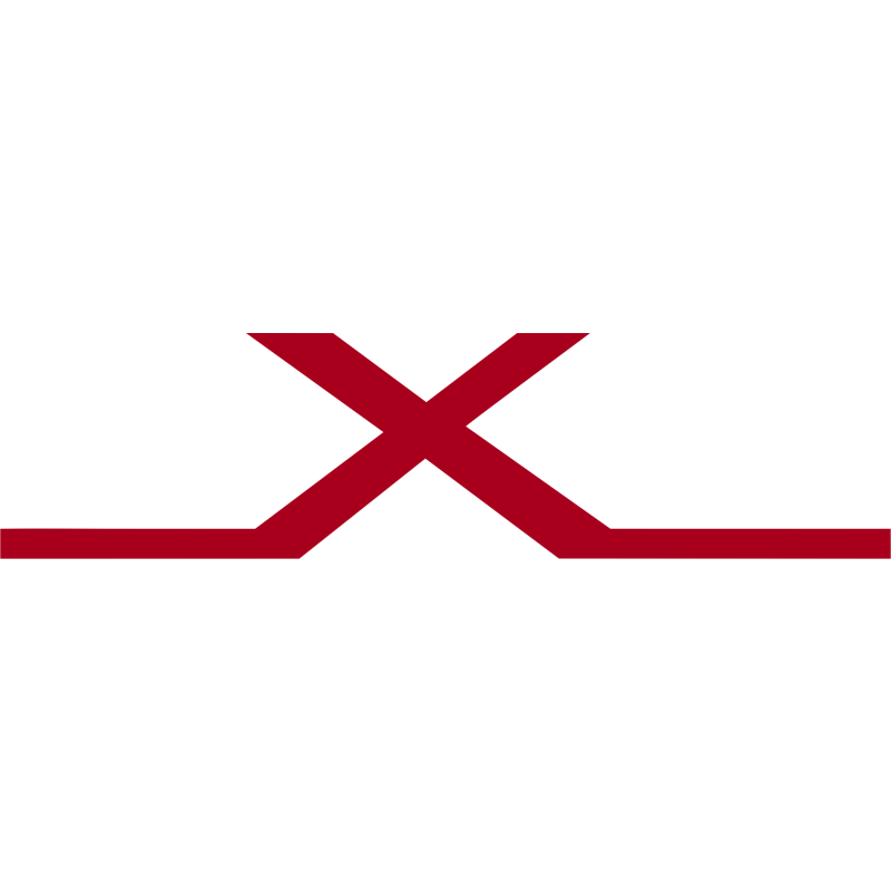 Logo: NEXTLEVEL Fahrschule